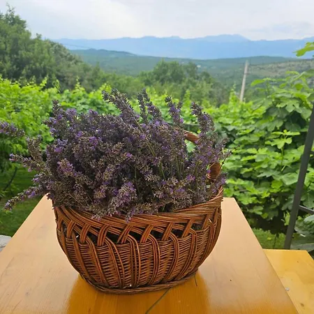 Silence - Vuk Appartement *