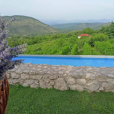 Silence - Vuk * Podgorica