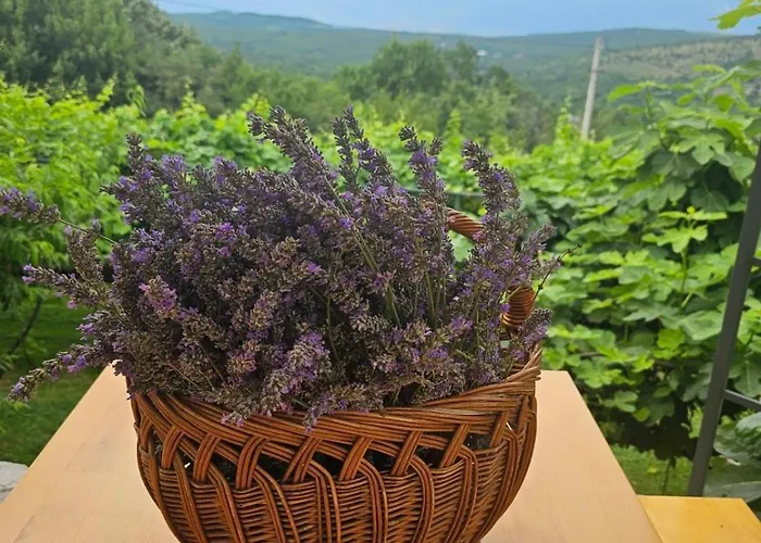 Silence - Vuk Appartement *