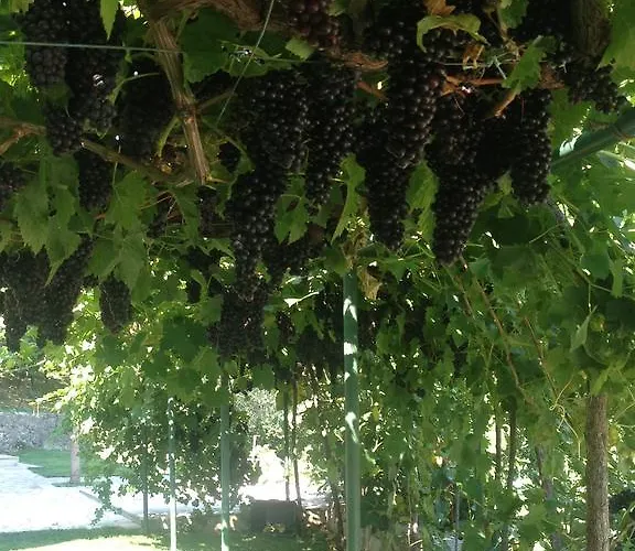 Appartement Silence - Vuk Podgorica