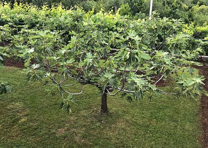 Silence - Vuk Appartement