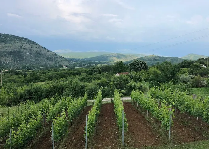 Silence - Vuk Appartement