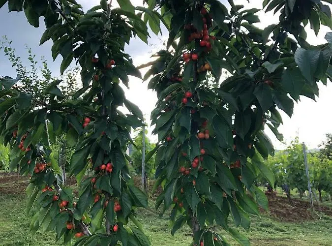 Appartement Silence - Vuk *