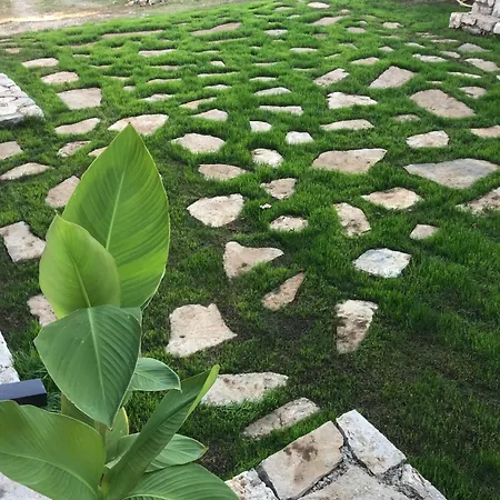 Apartament Silence - Vuk *