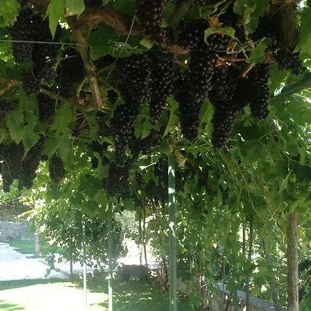 Apartament Silence - Vuk Podgorica