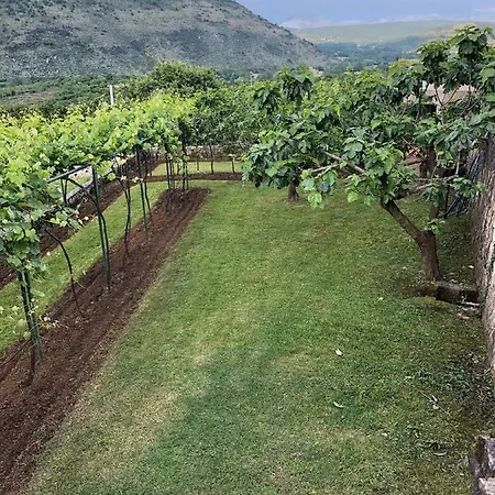 Silence - Vuk Apartament *