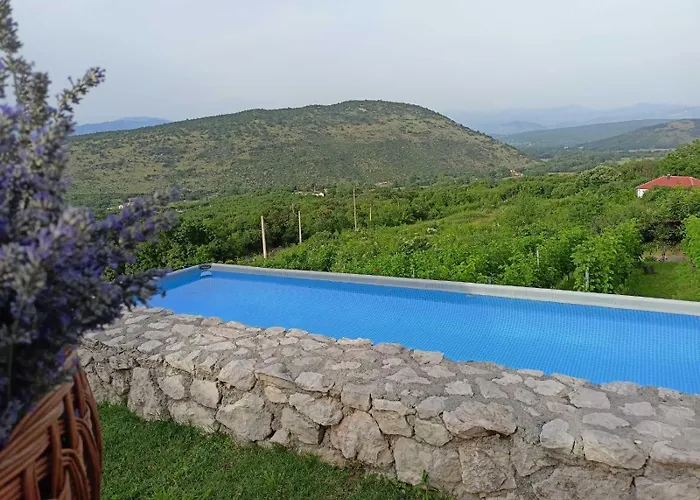 Apartment Silence - Vuk