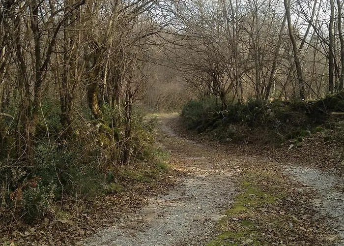 Silence - Vuk شقة