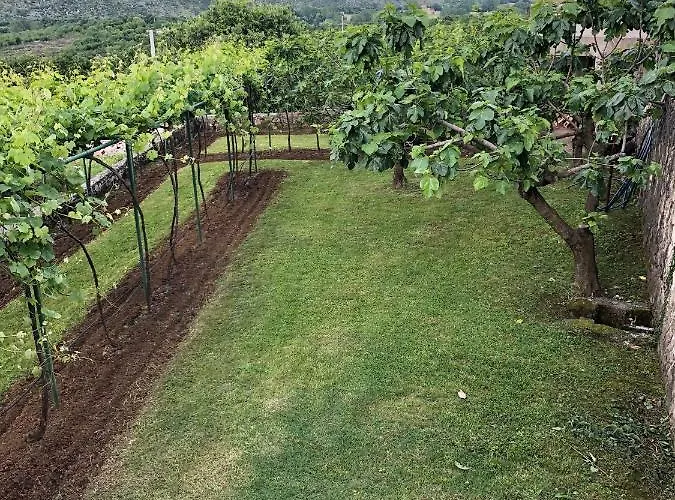 Silence - Vuk شقة *